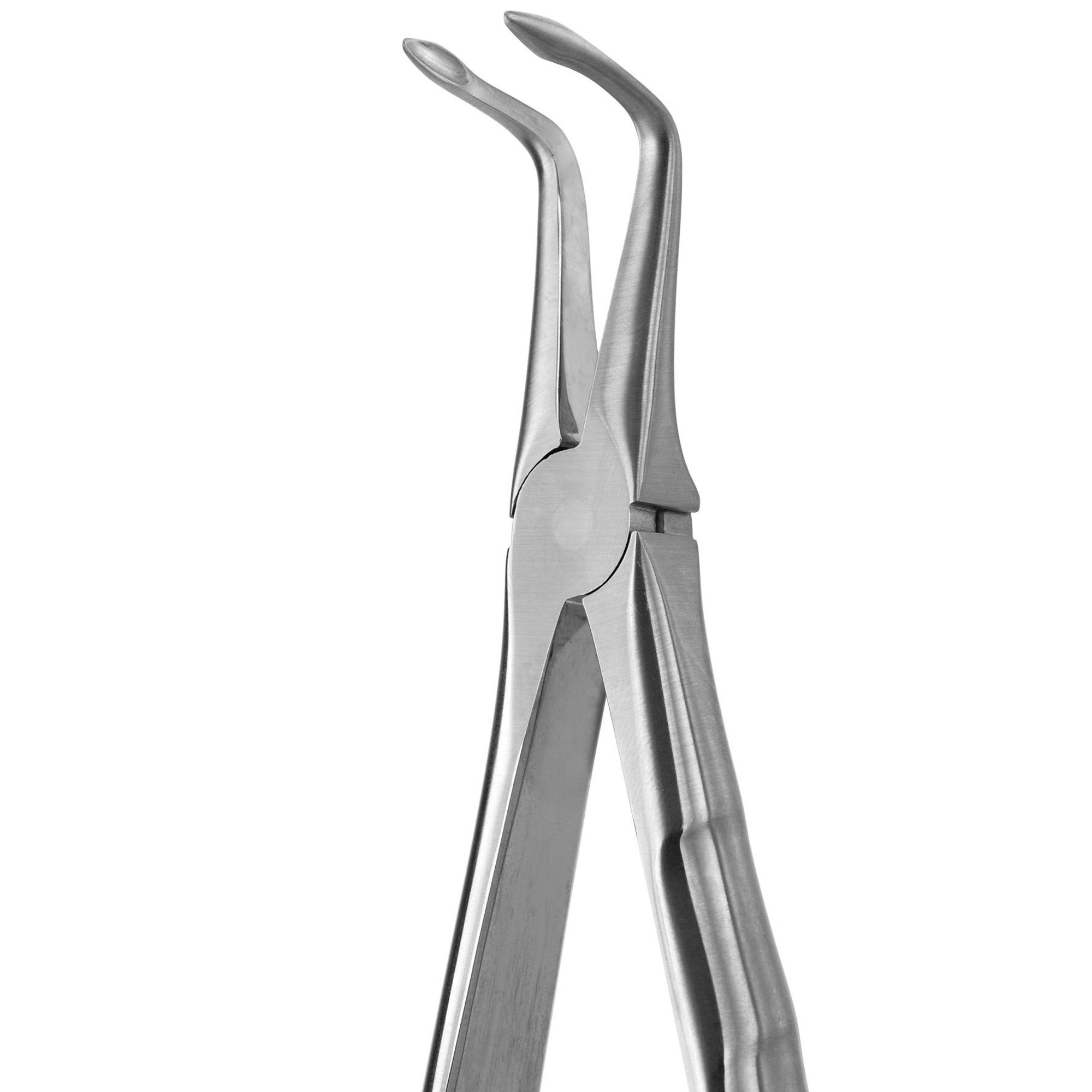DAVIER POUR EXTRACTION BLADE BEAKS N.187
