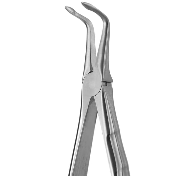 DAVIER POUR EXTRACTION BLADE BEAKS N.187
