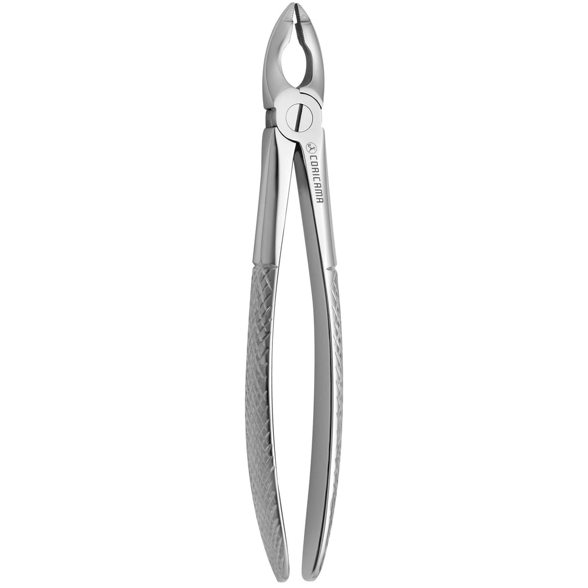 TOOTH FORCEPS N.180 625150 – Coricama srl, Extraktionszangen