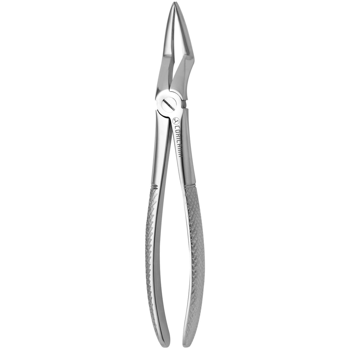 DAVIER POUR EXTRACTION N. 51-L – Coricama srl, Extraction Forceps