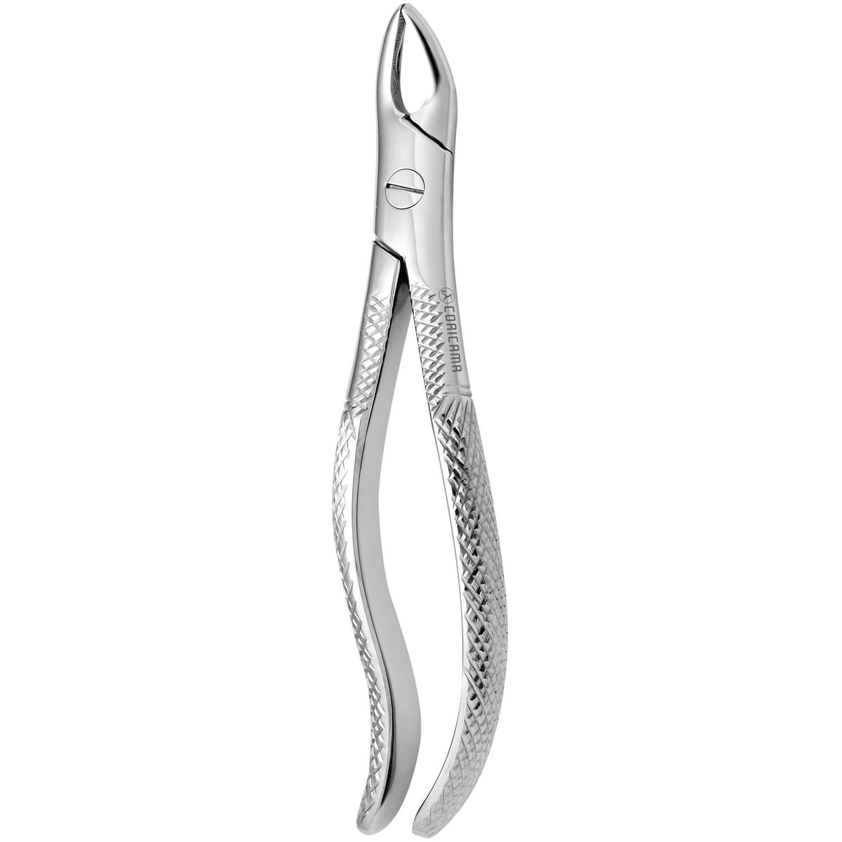 TOOTH FORCEPS N.111 625550 – Coricama srl