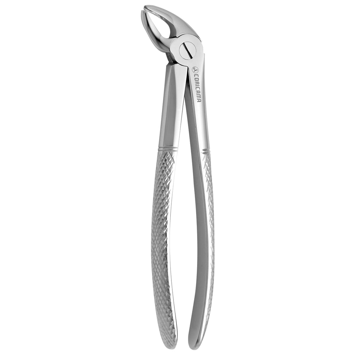 TOOTH FORCEPS N. 4 625610 – Coricama srl