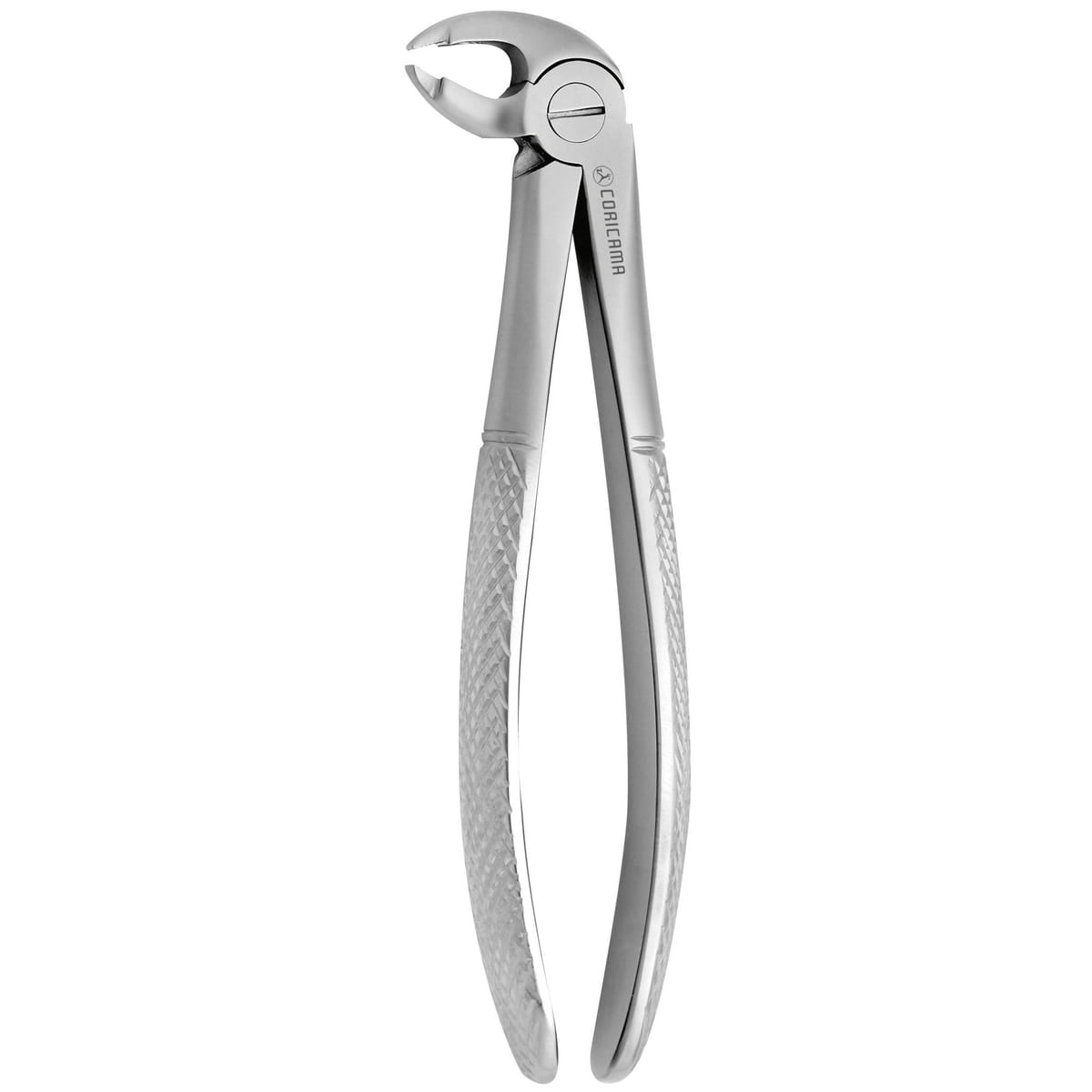 TOOTH FORCEPS N.182 625650 – Coricama srl