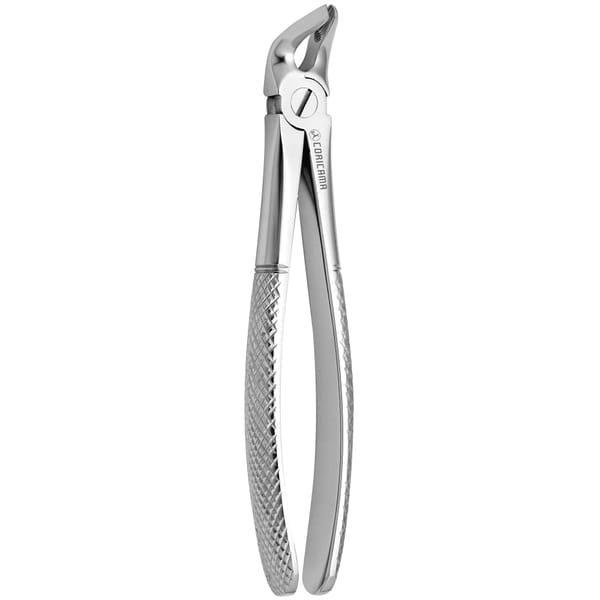 TOOTH FORCEPS N. 8 625670