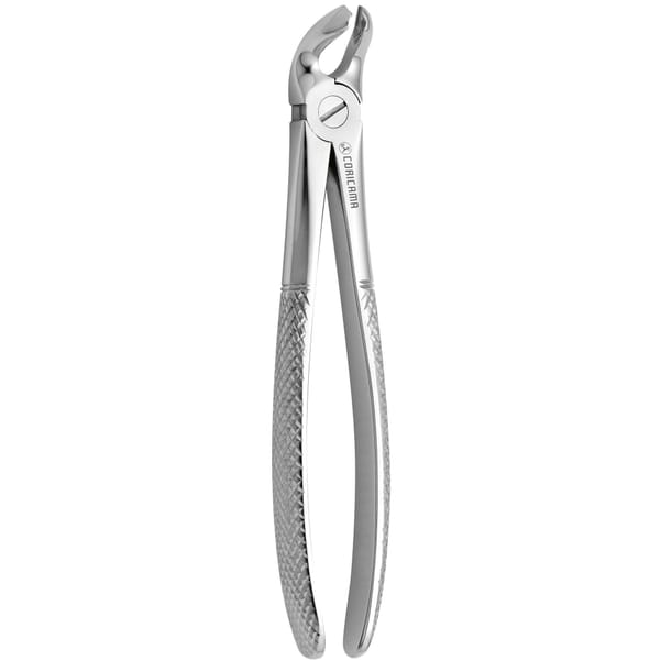 TOOTH FORCEPS N. 21 625740
