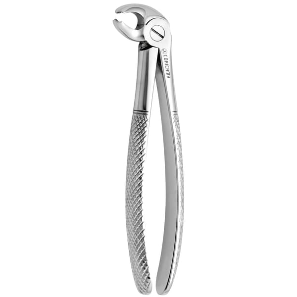 TOOTH FORCEPS N. 24 625780