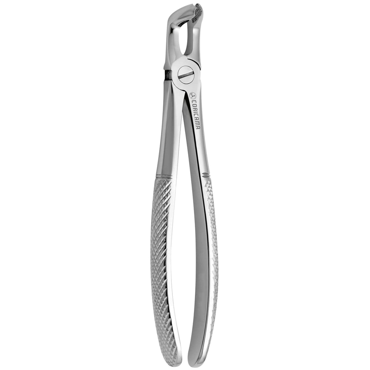 TOOTH FORCEPS N. 79 625830 – Coricama srl