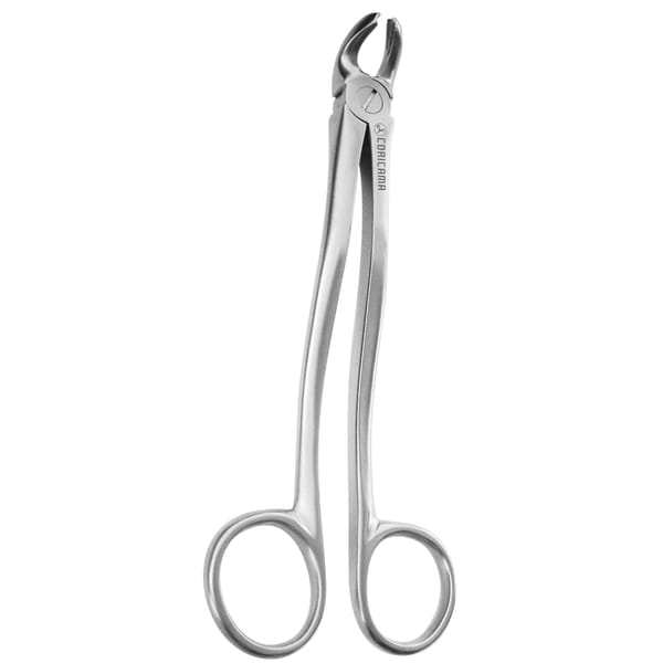 TOOTH FORCEPS SCISSOR HANDLE mm165 625855