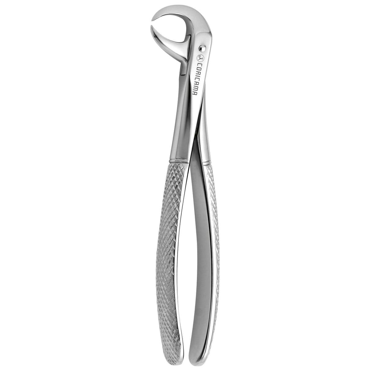 DAVIER POUR EXTRACTION CORNE DE VACHE N.86-C – Coricama srl, Extraction Forceps
