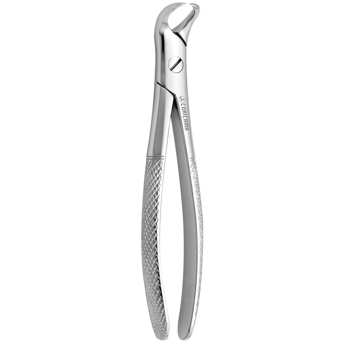 DAVIER POUR EXTRACTION CORNE DE VACHE N.87 – Coricama srl, Extraction Forceps