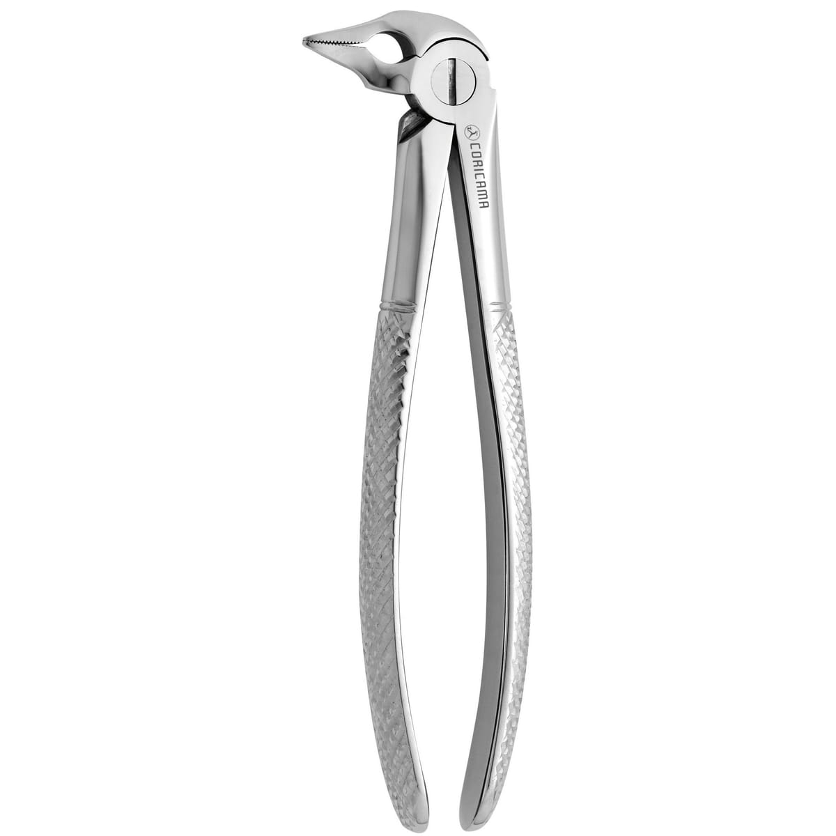 DAVIER POUR EXTRACTION n.185 – Coricama srl, Extraktionszangen