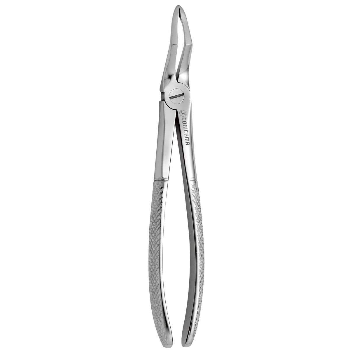 TOOTH FORCEPS N.189 626120 – Coricama srl, Extraction Forceps