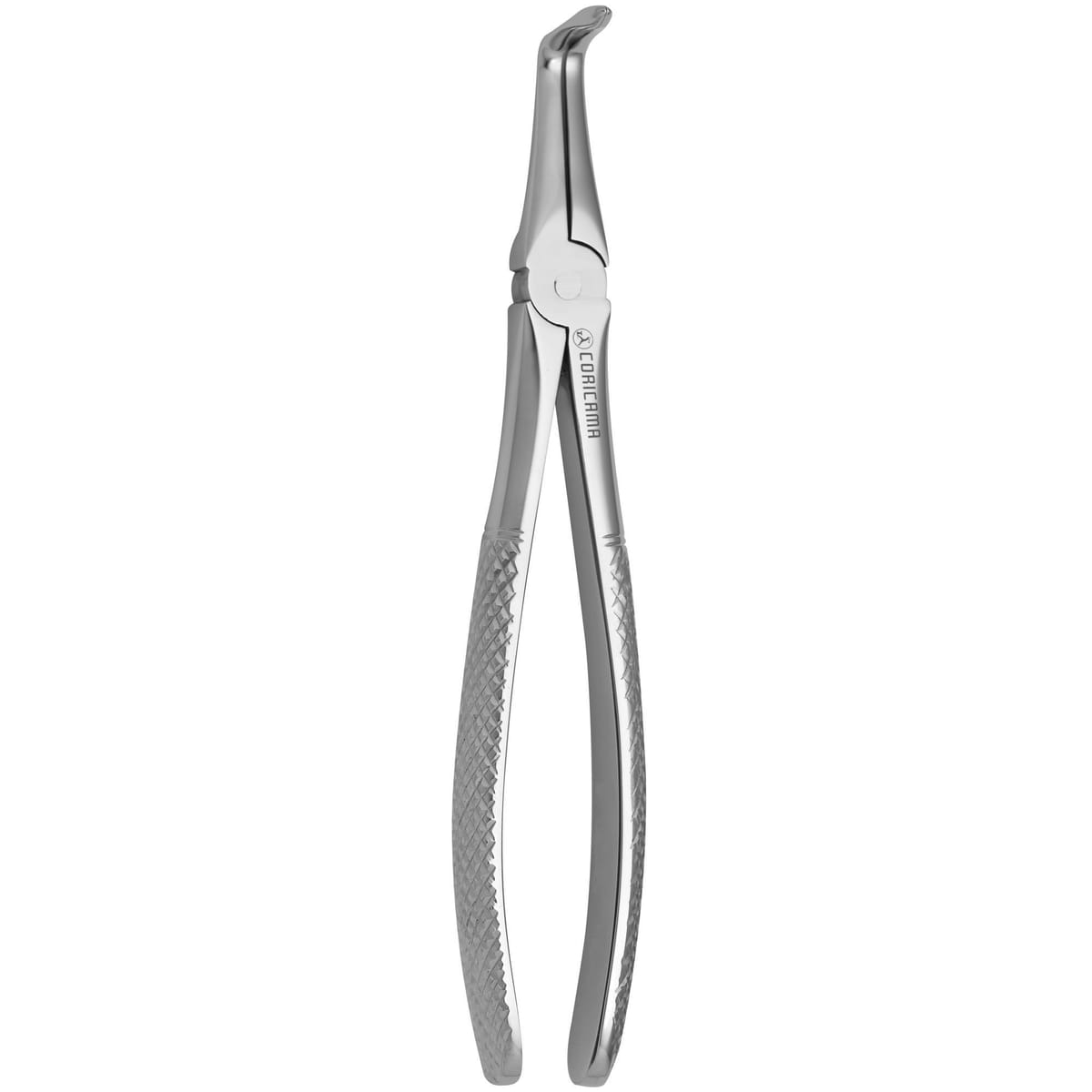 DAVIER POUR EXTRACTION N.187 – Coricama srl, Extraction Forceps
