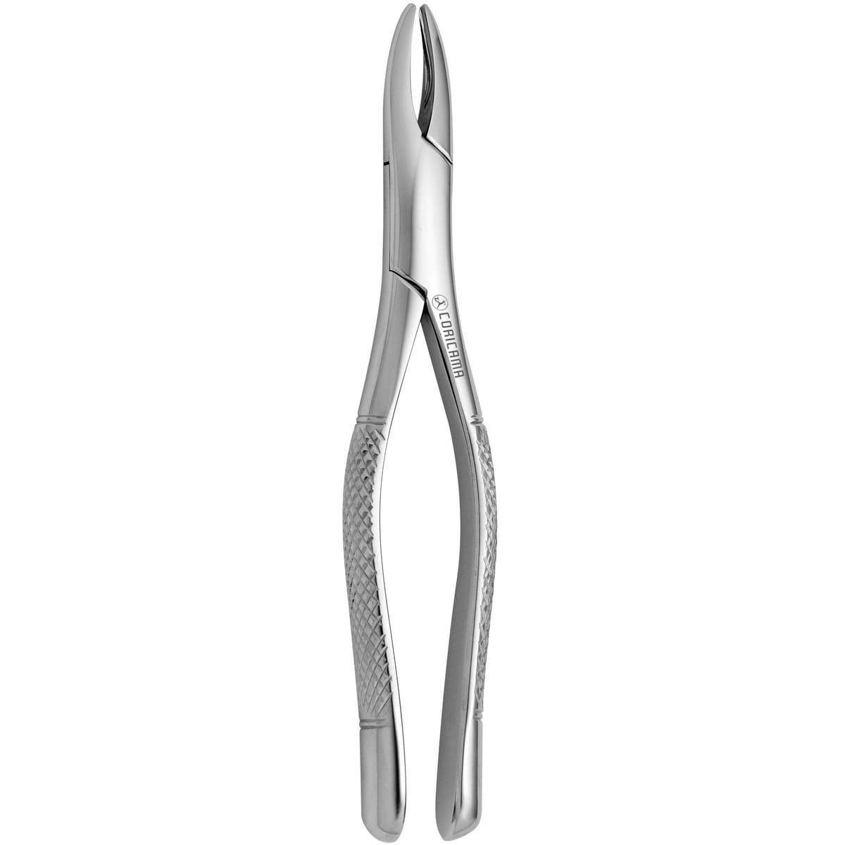 TOOTH FORCEPS AMERICAN N. 1 632110 – Coricama srl, Extraktionszangen