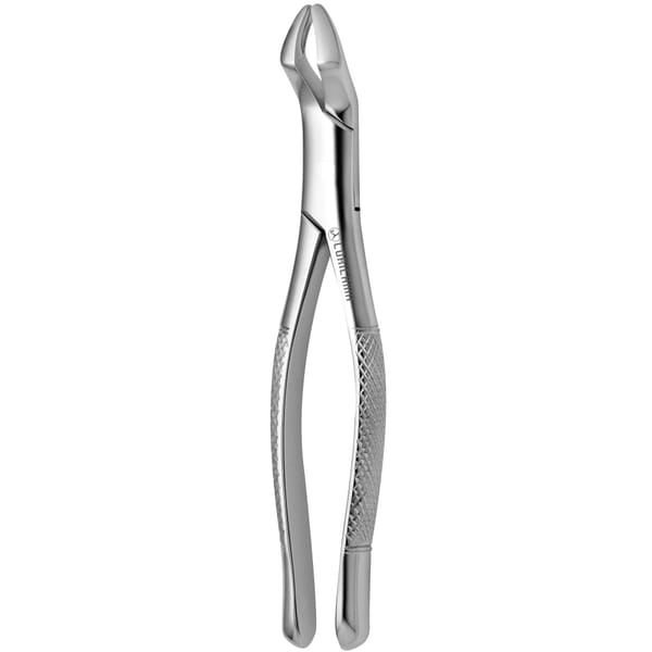 TOOTH FORCEPS AMERICAN N. 10-S 632170
