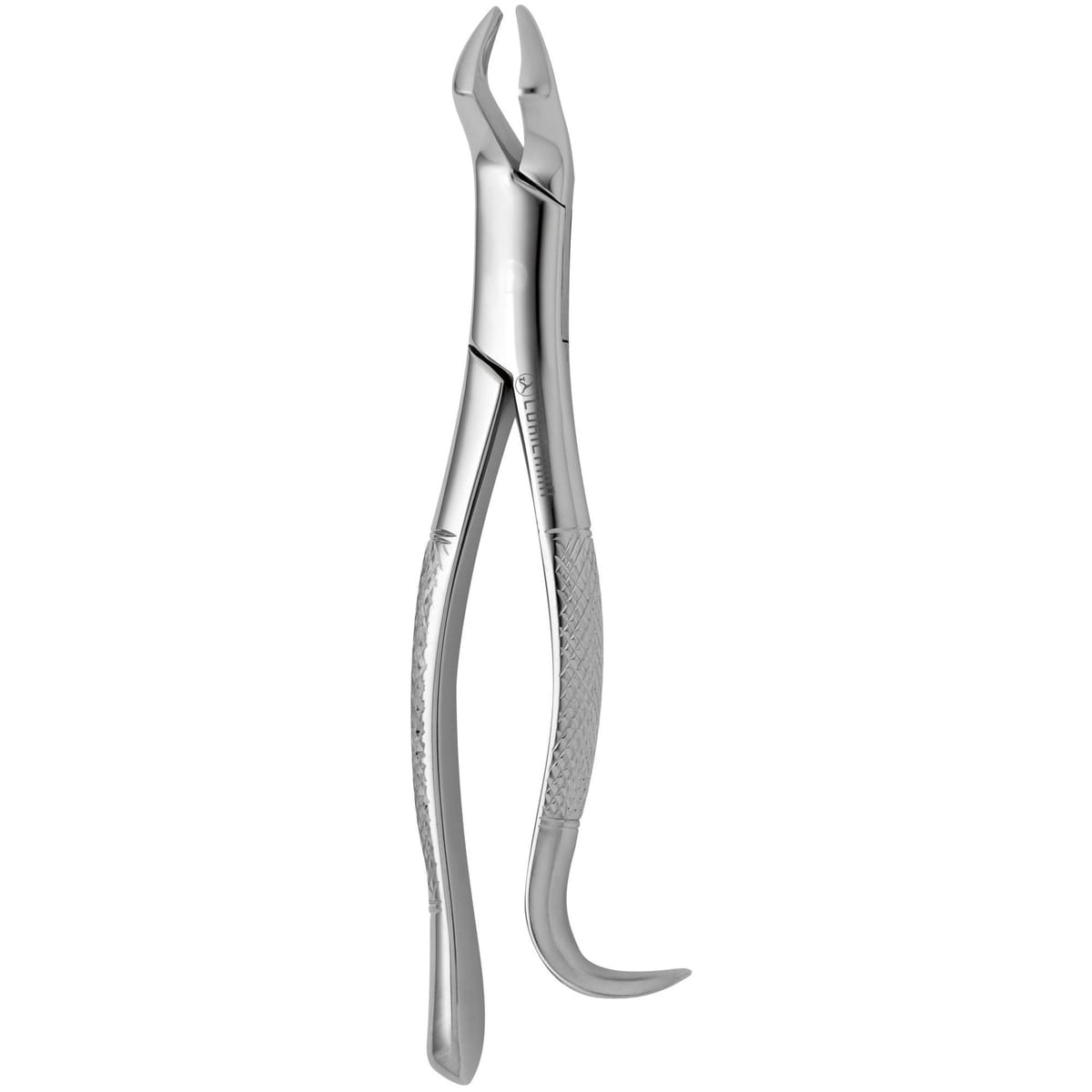 TOOTH FORCEPS AMERICAN N.210 632330 – Coricama srl, Extraction Forceps