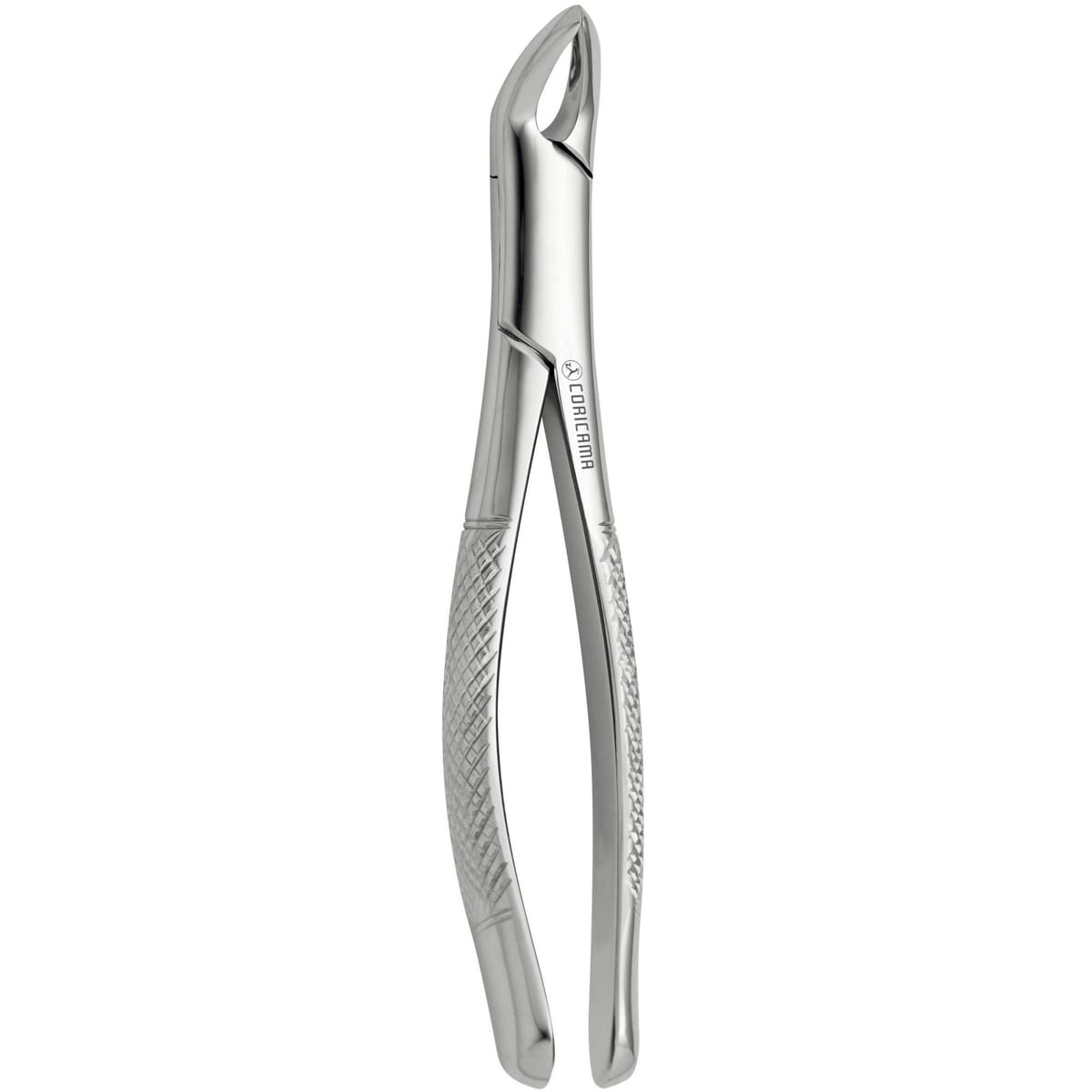 TOOTH FORCEPS AMERICAN N.151 632580 – Coricama srl, Extraktionszangen