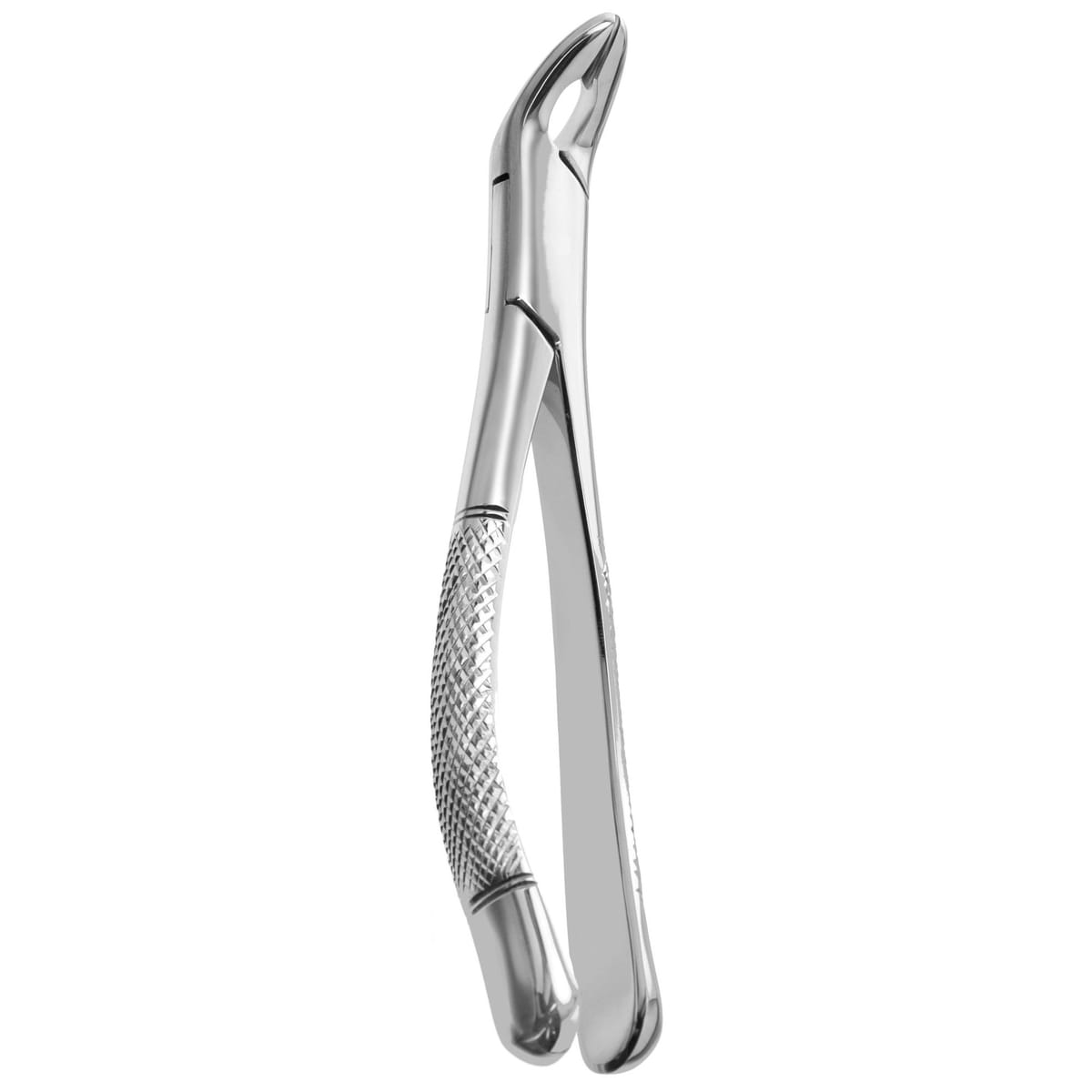 TOOTH FORCEPS AMERICAN N.151-A 632585 – Coricama srl