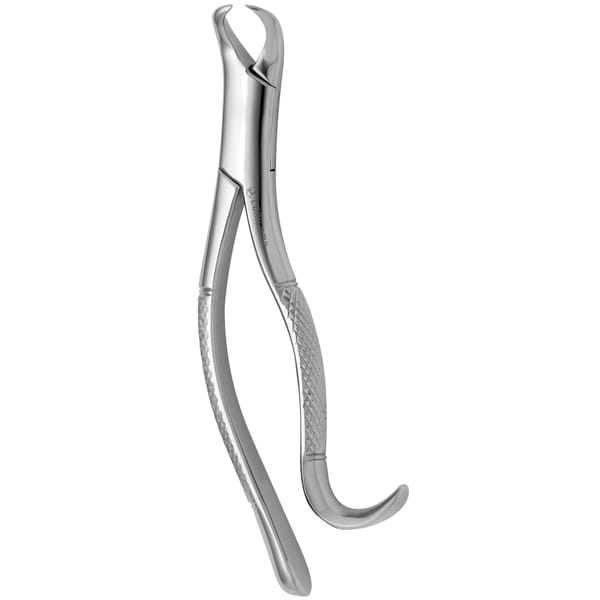 TOOTH FORCEPS AMERICAN COW HORN N. 16 632740