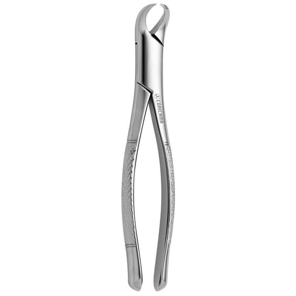 TOOTH FORCEPS AMERICAN COW HORN N. 23 632750
