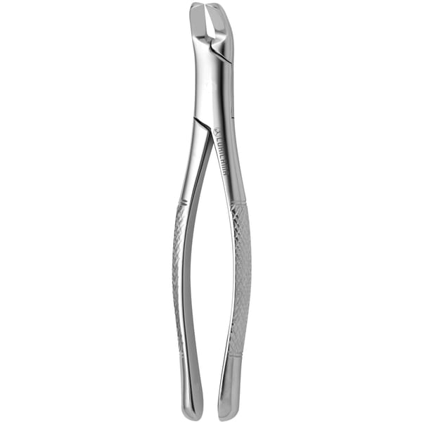TOOTH FORCEPS AMERICAN N. 6 632760