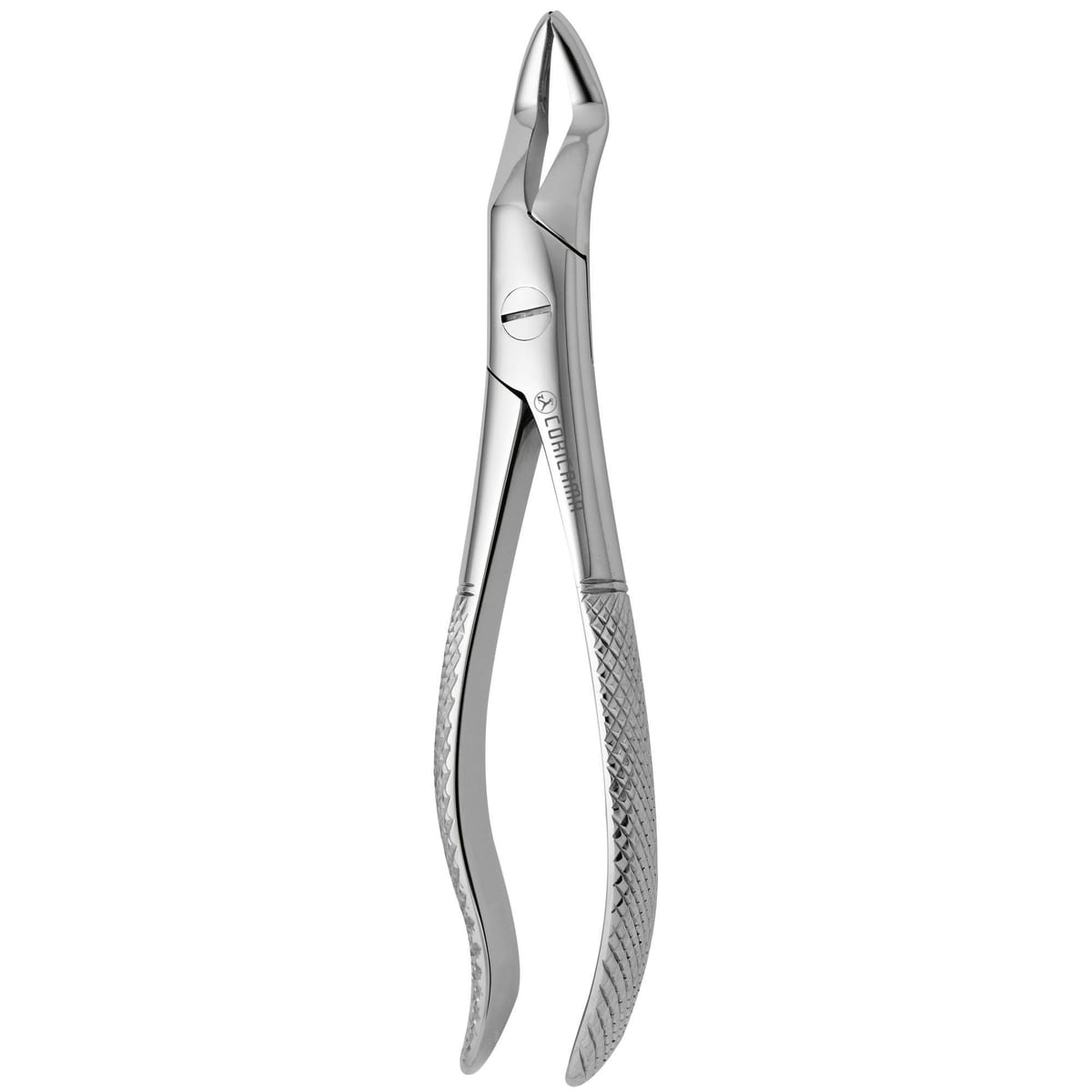TOOTH FORCEPS N.101-A 625525 – Coricama srl
