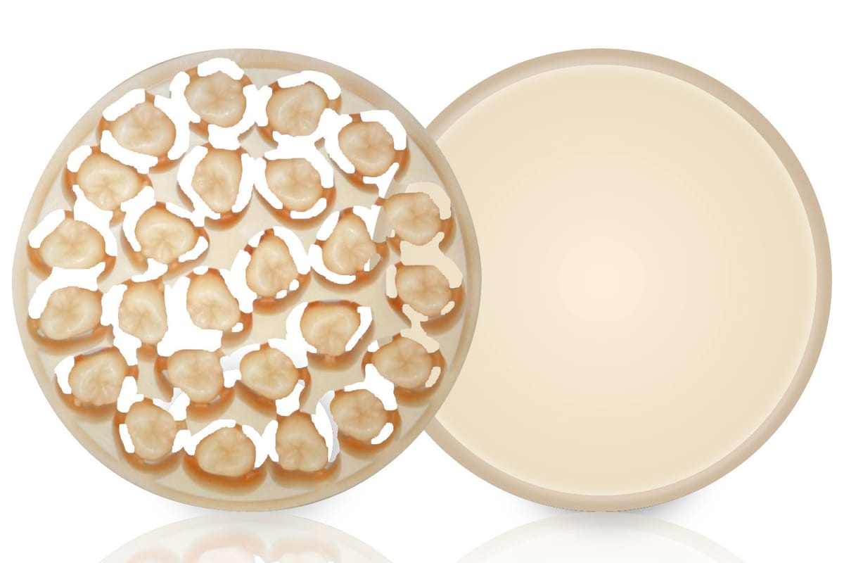 AMBARINO High-Class – creamed GmbH & Co. Produktions- und Handels KG, Ceramic Materials