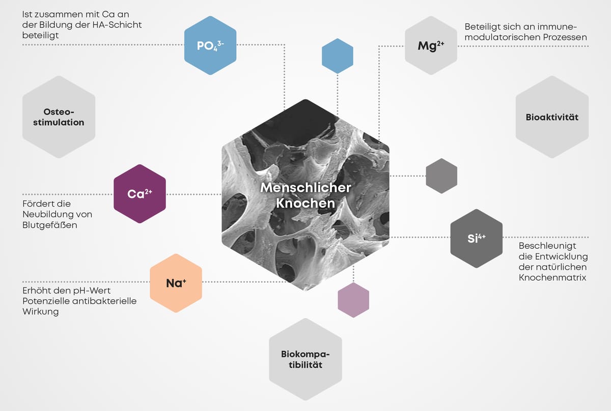 CERASORB® Bioactive – Curasan AG, Knochenersatzmaterial