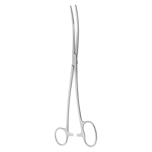 BOZEMANN DOUGLAS, Schwammzange, 26 cm 16.233.26