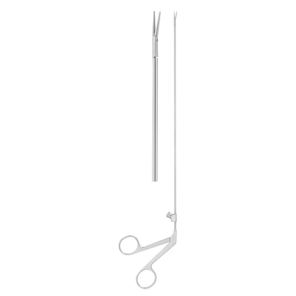 Faßzaengchen microlar., 24 cm 52.264.00