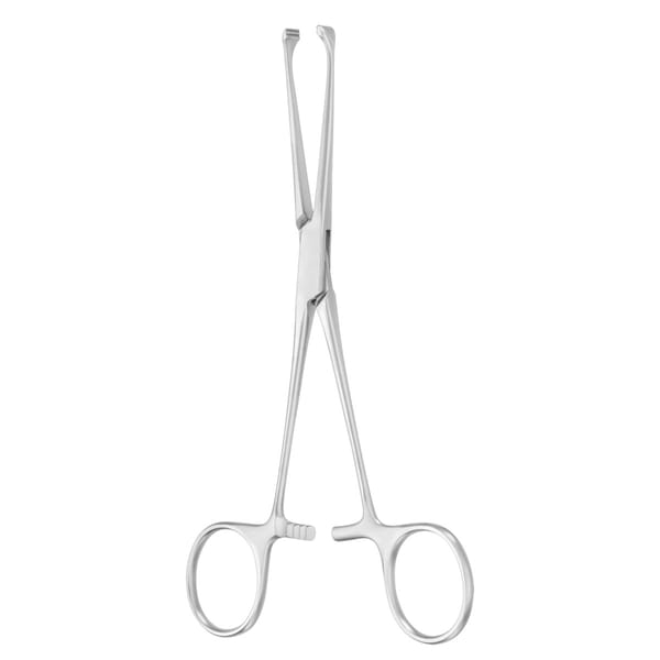 ALLIS, Darm Fass Zange, 16 cm atraumatic 1 x 2 Zähne 64.124.16