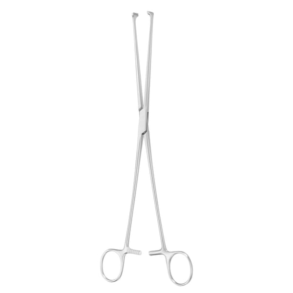 ALLIS, Darm Fass Zange, 25 cm atr 64.124.25