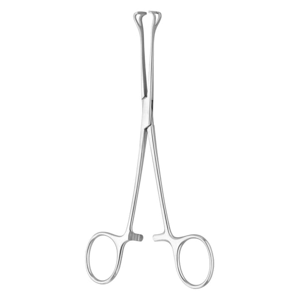 BABCOCK, Darm für Zaengchen, 16 cm 1 x 2 Zähne 64.160.16