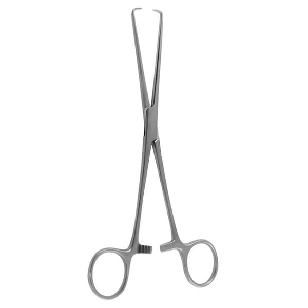 BARRETT, Haken Zange, 18 cm 1 x 2 Zähne 70.510.18