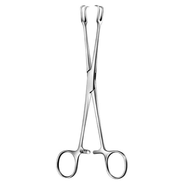 MUSEUX, Haken Zange, 10 mm breit 70.526.20