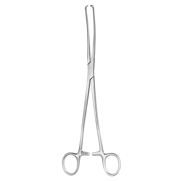IOWA, Haken Zange, 26 cm 2 x 2 Zähne 70.539.26