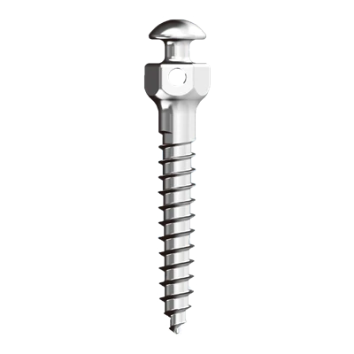 Orthodontic Mini Screws – EKSEN TECHNOLOGY (HK) LIMITED, Anchorage Systems