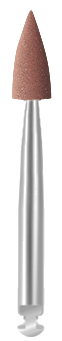 BV11