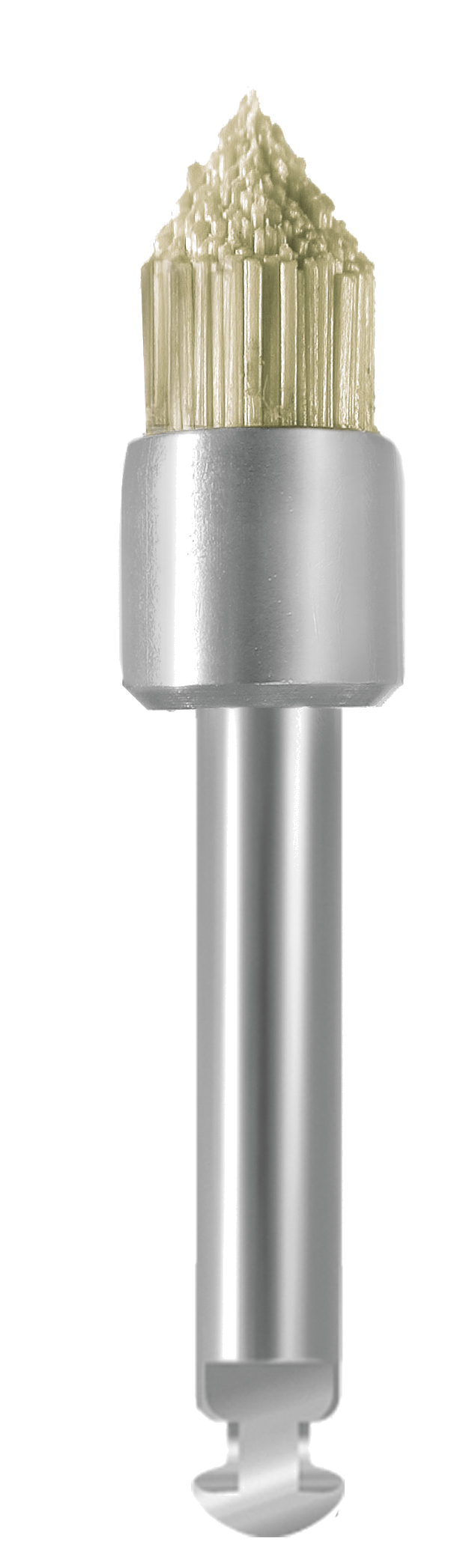 EVEBRUSH RA WS1 – EVE Ernst Vetter, Laboratory Polishers
