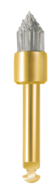 WSD1