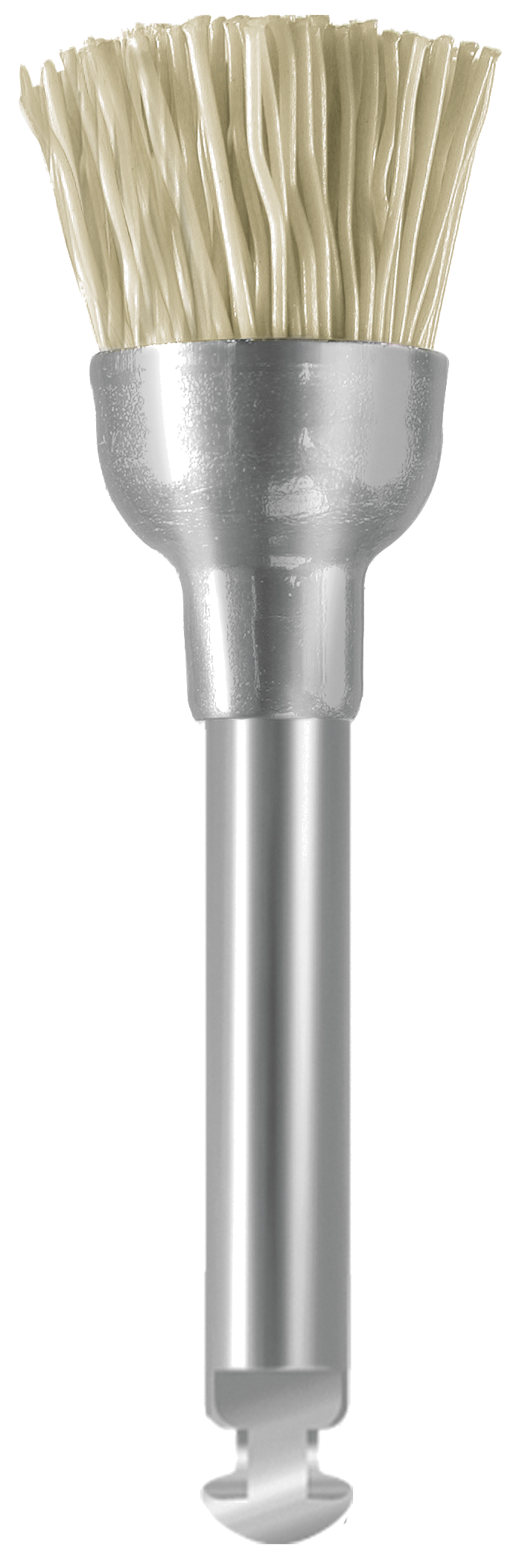 EVEBRUSH RA WT1 – EVE Ernst Vetter, Laboratory Polishers