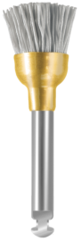 WTD1