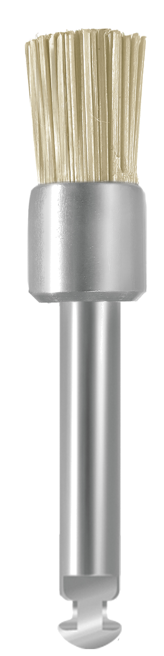 EVEBRUSH RA WZ1 – EVE Ernst Vetter, Laboratory Polishers