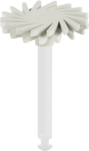 PROPHY RA PRT-W14