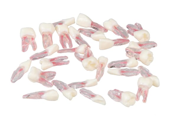 E08/TC - Replacement Teeth for E08 Model