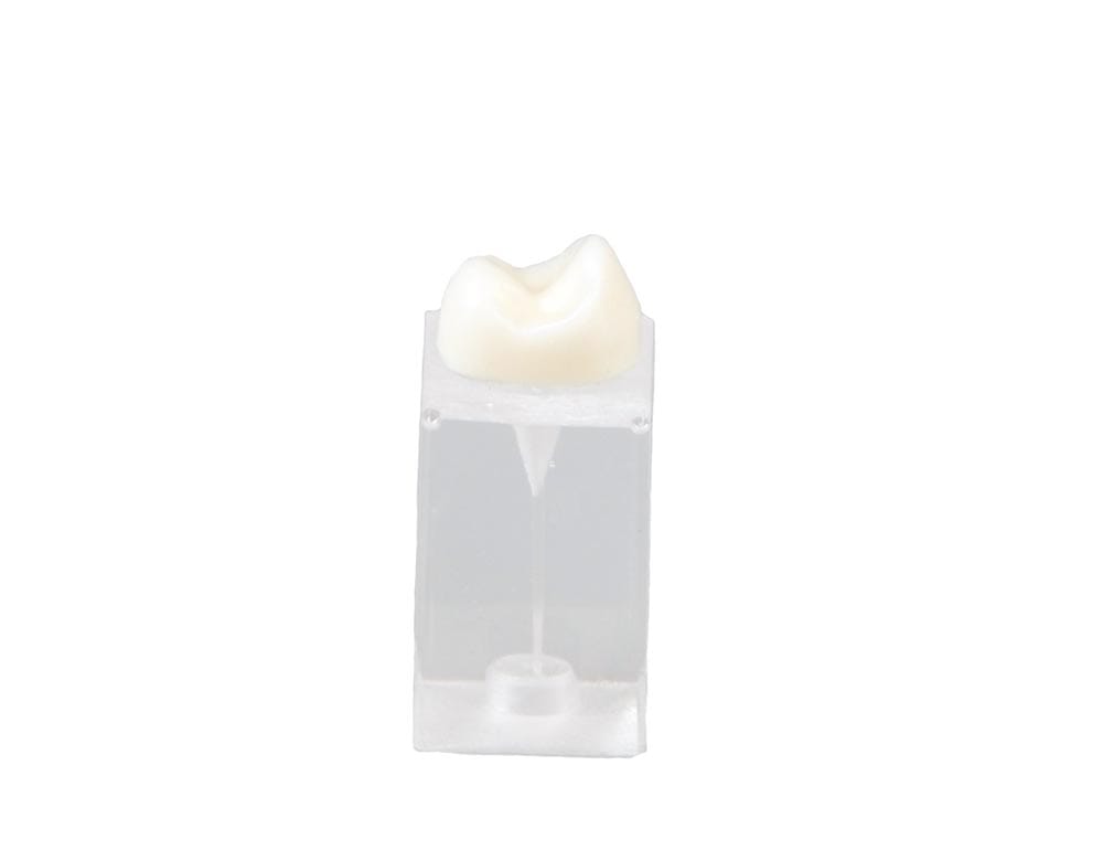 E09/C – Quaderblock für endodontische Übungen – GF Dental di Ficuciello Antonino, Demomodelle