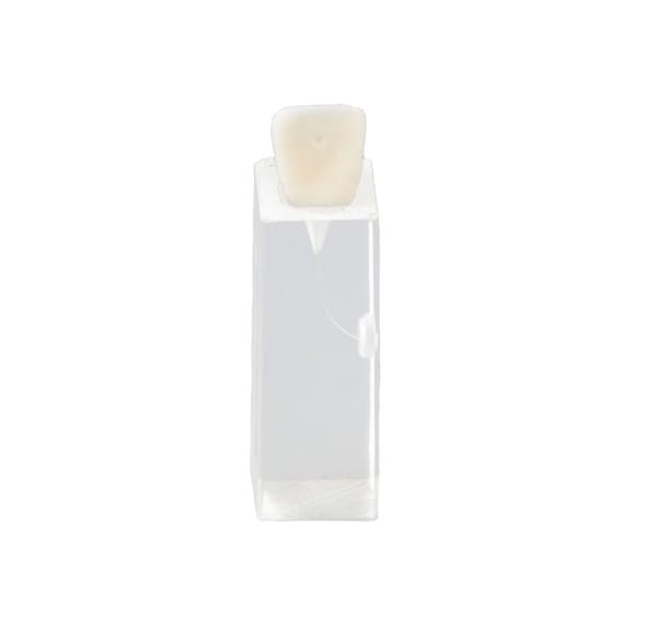 E10/C - Parallelepiped Block for Endodontic Practice