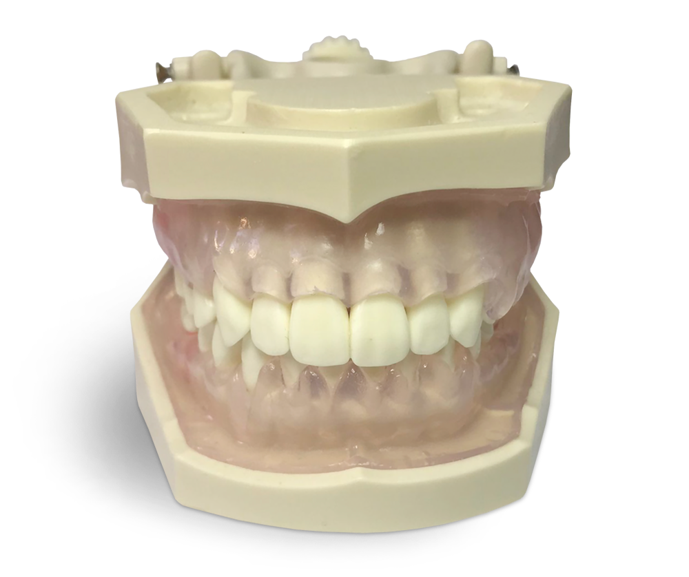 E11GP Übungsmodell für Dentalhygienikerinnen – GF Dental di Ficuciello Antonino, Gipszusätze, Stumpflacke und Gipslöser
