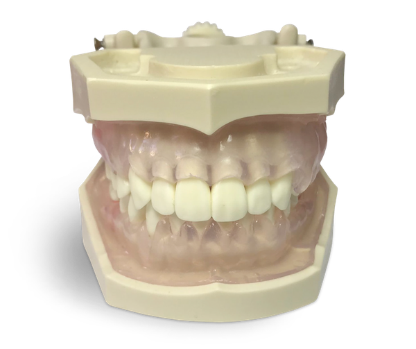 E11/GP - Modello per esercitazione di igienista dentale