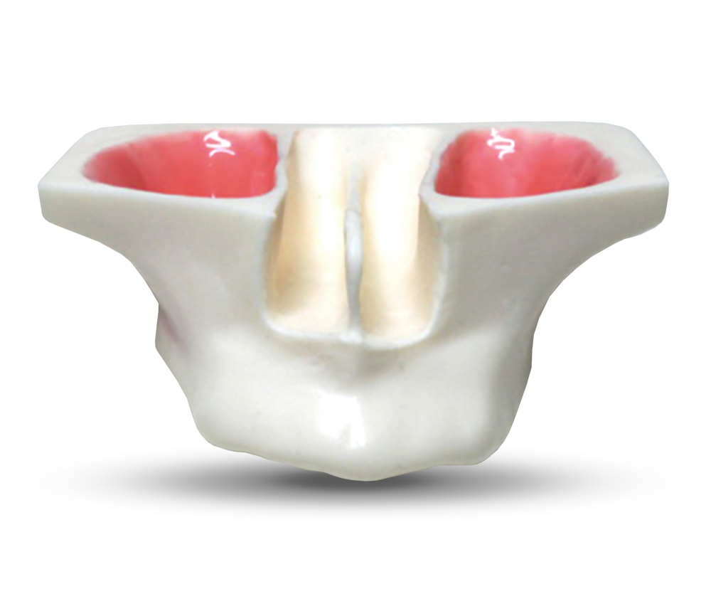 E20 – Übungsmodell für Sinuslift – GF Dental di Ficuciello Antonino, Gipszusätze, Stumpflacke und Gipslöser